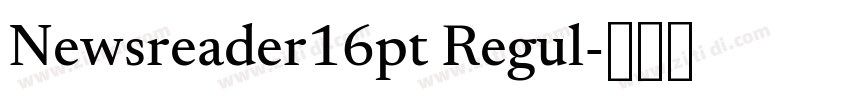 Newsreader16pt Regul字体转换 Newsreader16pt Regul字体转换
